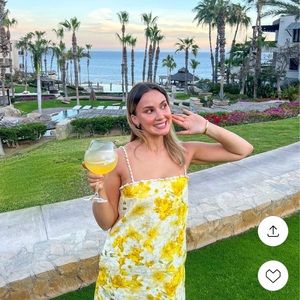 NWT Zimmermann Wonderland Shell Shift Dress